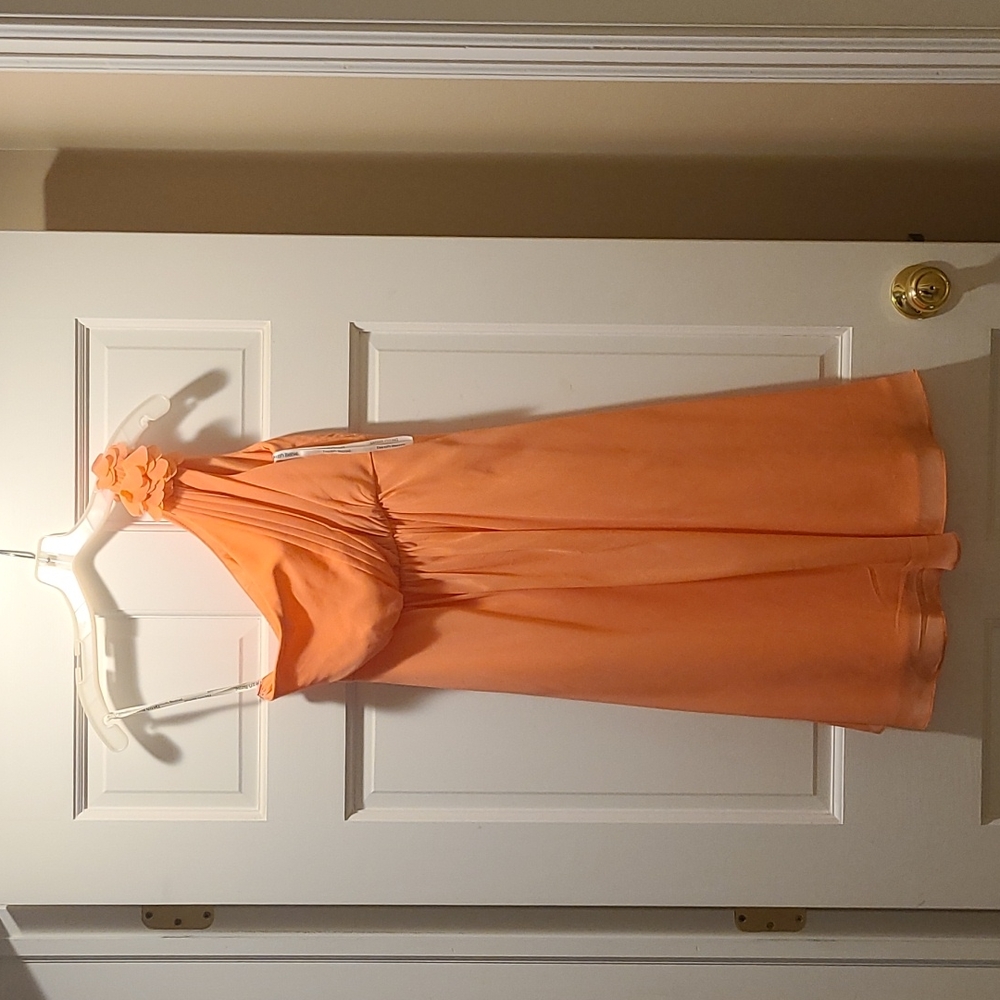 David's Bridal Dress